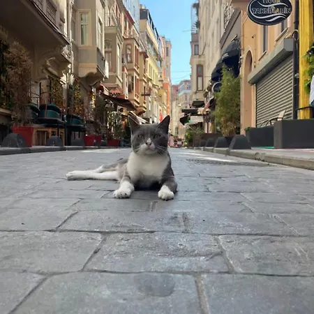 Taksim Park