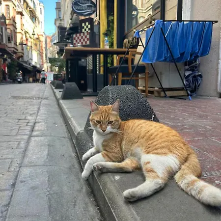 Taksim Park Istanbul