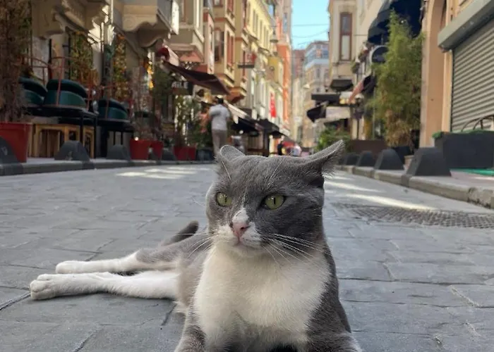 فندق Taksim Park 2*