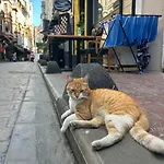 Taksim Park Κωνσταντινούπολη